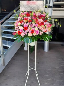 RT-ST1-0095@sNnCbhnā@X^h1i@jEJXEaEEV[[Ef[Ȃǂ̌jɁISz\I15܂ł̂œzo