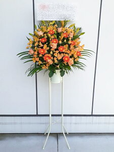 RT-ST1-0077@IWn@X^h1i@jEJXEaEEV[[Ef[Ȃǂ̌jɁISz\I15܂ł̂œzoGA܂Bi