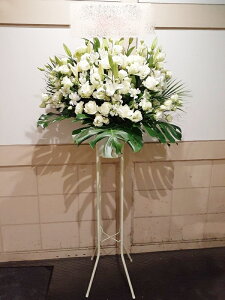 RT-ST1-0076@zCgn@X^h1i@jEJXEaEEV[[Ef[Ȃǂ̌jɁISz\I15܂ł̂œzoGA܂Bi