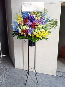 RT-ST1-0075@style-epic@mix@X^h1i@jEJXEaEEV[[Ef[Ȃǂ̌jɁISz\I15܂ł̂œzoGA܂Bi