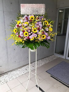 RT-ST1-0074@ԉɂCI{[AbvI@X^h1i@jEJXEaEEV[[Ef[Ȃǂ̌jɁISz\I15܂ł̂œ