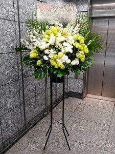 RT-ST1-002@style-epic@white&green-standard@X^h1i@jEJXEaEEV[[Ef[Ȃǂ̌jɁISz\I15܂ł̂œzoGA