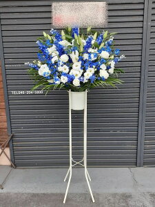 RT-ST1-0071@zCgu[n@X^h1i@jEJXEaEEV[[Ef[Ȃǂ̌jɁISz\I15܂ł̂œzoGA