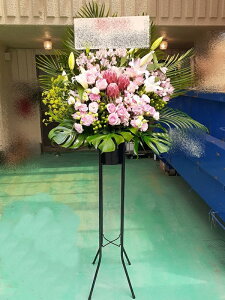 RT-ST1-0070@style-epic@pink standard@X^h1i@jEJXEaEEV[[Ef[Ȃǂ̌jɁISz\I15܂ł̂œzoGA