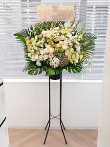 RT-ST1-0069@style-epic@white-hi standard@X^h1i@jEJXEaEEV[[Ef[Ȃǂ̌jɁISz\I15܂ł̂œzoGA