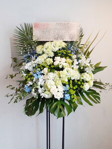 RT-ST1-0068@style-epic@white-standard@X^h1i@jEJXEaEEV[[Ef[Ȃǂ̌jɁISz\I15܂ł̂œzoGA