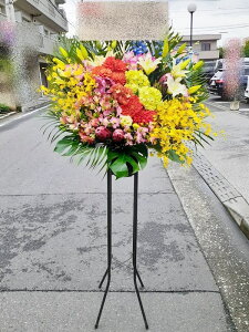 RT-ST1-0067@style-epic@mix-standard@X^h1i@jEJXEaEEV[[Ef[Ȃǂ̌jɁISz\I15܂ł̂œzoGA