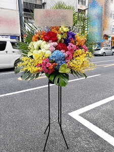 RT-ST1-0066@style-epic@mix-max@X^h1i@jEJXEaEEV[[Ef[Ȃǂ̌jɁISz\I15܂ł̂œzoGA܂B