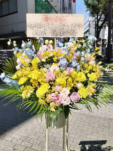 RT-ST1-0064@CG[nCWFā@X^h1i@jEJXEaEEV[[Ef[Ȃǂ̌jɁISz\I15܂ł̂œzoG