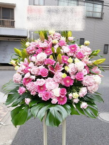 RT-ST1-0063@sNZWn@X^h1i@jEJXEaEEV[[Ef[Ȃǂ̌jɁISz\I15܂ł̂œzoGA܂B