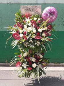 bst2-386@fJ|Cgo[t@bhzCgn@o[X^h2iiFύXł܂j@ n菤i@E_ސEʁEtiS≓NGBߗגnOKł