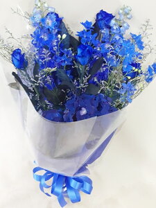 Sz\I@ԑ@u[n@aEʉȂǂjɑ܂@rht-0035