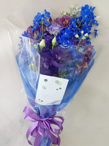 Sz\I@ԑ@u[p[vn@aEʉȂǂjɑ܂@rht-0033