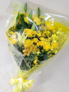 Sz\I@ԑ@CG[n@aEʉȂǂjɑ܂@rht-0031