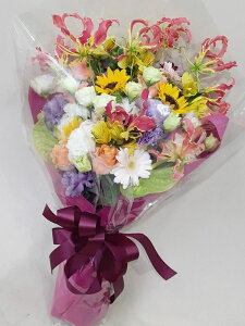 Sz\I@ԑ@؃~bNX@aEʉȂǂjɑ܂@rht-0030