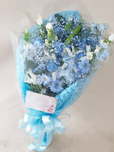 Sz\I@ԑ@`BULE SKY`@Fn@aEʉȂǂjɑ܂@rht-0045