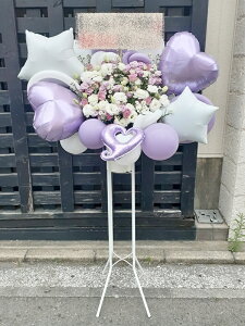 bst1-589@p[vzCgn@o[X^h1i@ n菤i@E_ސEʁEtiS≓NGBߗגnOKłx₢킹j