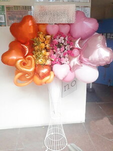 bst1-027@sNIWnn[tn[t@@o[X^h1i@ n菤i@E_ސEʁEtiS≓NGBߗגnOKłx₢킹