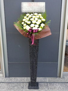 st1n032@zCgo30{@u[PX^hԁ@uL@n菤i@E_ސEʁEtiS≓NGBߗגnOKłx₢킹j