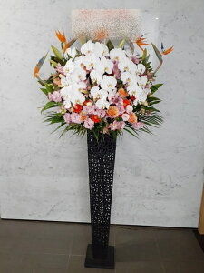 st1n097�@���Ӓ������@�s���N���b�h�n�@���u���L�@�X�^���h�ԁ@���n����菤�i�@�����E�_�ސ�E��ʁE��t�i�S���≓��NG�B�ߗגn���OK�ł�����x���₢���킹�������j