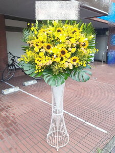 st1n1026@CG[IWn@@X^hԁ@n菤i@E_ސEʁEtiS≓NGBߗגnOKłx₢킹j