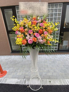 st1n200@CG[EIWEsN@@X^hԁ@n菤i@E_ސEʁEtiS≓NGBߗגnOKłx₢킹j