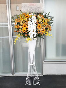 st1n256@Ӓ@CG[IWn@@X^hԁ@n菤i@E_ސEʁEtiS≓NGBߗגnOKłx₢킹j