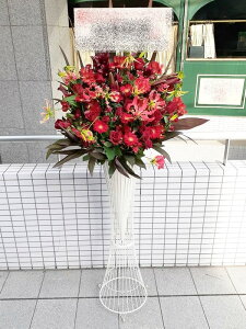 st1n266@bhn@@X^hԁ@n菤i@E_ސEʁEtiS≓NGBߗגnOKłx₢킹j