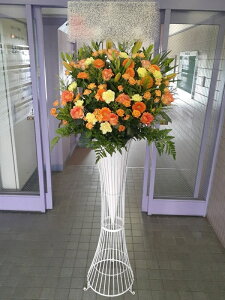 st1n556@IWn@@X^h1i@n菤i@E_ސEʁEtiS≓NGBߗגnOKłx₢킹j