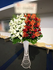 st1n611@zCgbhn@n[tn[t@@X^hԁ@n菤i@E_ސEʁEtiS≓NGBߗגnOKłx₢킹j