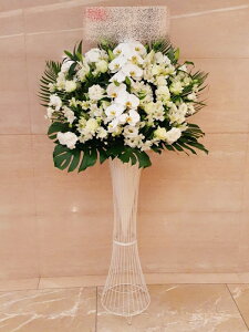 st1n632@Ӓ@zCgn@@X^hԁ@n菤i@E_ސEʁEtiS≓NGBߗגnOKłx₢킹j