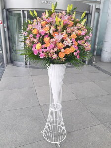 st1n798@sNIWn@@X^h1i@n菤i@E_ސEʁEtiS≓NGBߗגnOKłx₢킹j