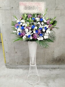 st1n803@zCgu[p[vn@@X^hԁ@n菤i@E_ސEʁEtiS≓NGBߗגnOKłx₢킹j