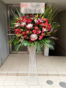 st1n831@_bhn@@X^hԁ@n菤i@E_ސEʁEtiS≓NGBߗגnOKłx₢킹j