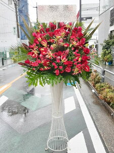 st1n829@bhn@@X^hԁ@n菤i@E_ސEʁEtiS≓NGBߗגnOKłx₢킹j