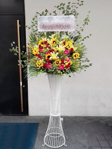 st1n910@}̓@bhCG[n@@X^h1i@n菤i@E_ސEʁEtiS≓NGBߗגnOKłx₢킹j