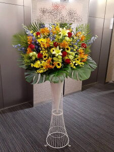 st1n928@C~bNX@@X^hԁ@n菤i@E_ސEʁEtiS≓NGBߗגnOKłx₢킹j