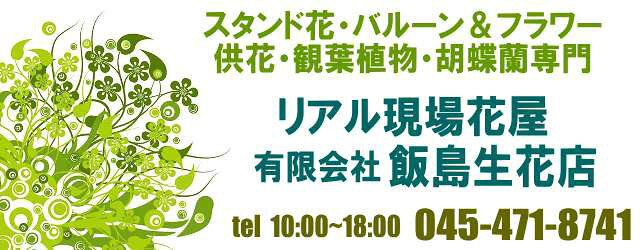 楽天市場 お花のプロがいる専門店 飯島生花店 トップページ