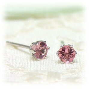 sAX 6{c 10sNg} NEsAX Vv K14zCgS[h 10̒a 14K WG 14 eBA   a 11Teatime  fB[X v[