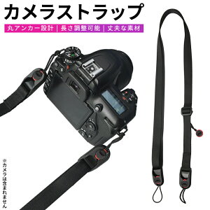 yyV2ʁziCf ჌t jp ΂߂ [v ɂȂȂ Vv NbV _炩 v ϋv p ߉\ lbNXgbv  Xgbv J 