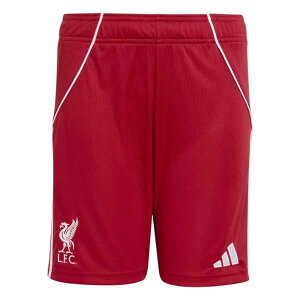 AfB_X WjA ov[FC 25/26 z[vJV[c JYF36( TbJ[ ov[ n[tpc LbY vJ t@ObY )