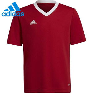 AfB_X WjA ENTRADA22 W[W[Vc MBE20