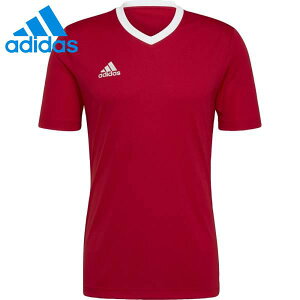 AfB_X Gg[_22 TbJ[ W[W ZG486