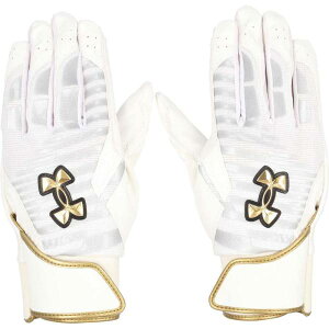 A_[A[}[ 싅 v obeBOO[u 6001312( x[X{[  O[u w )