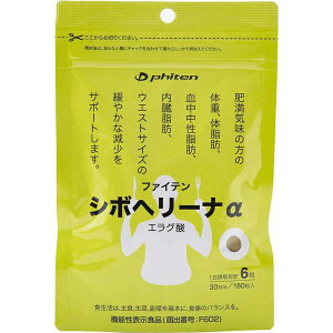 �t�@�C�e�� �V�{�w���[�i �A���t�@�[ GS580000