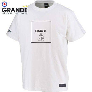 Of NO.10XNGAvg v~ARbgTVc GFPH21004