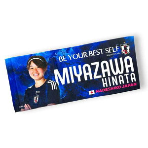 JFA TbJ[{q\ ȂłWp vC[Y tFCX^I JSNAJPTWL( qTbJ[ t@ObY  )