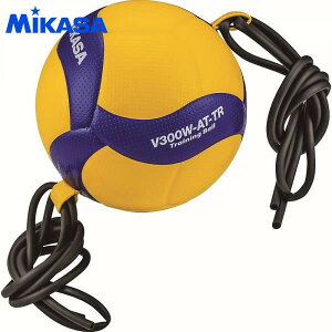 ~JT o[{[5 Ђtg[jO u[/CG[ V300WATTR