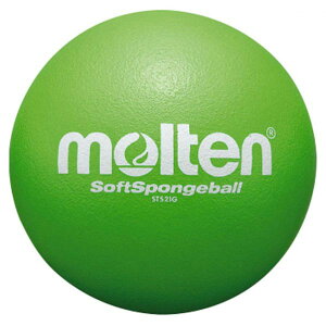 e \tgX|W{[21cm  STS21G