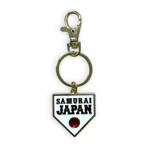 Wp L[z_[ NPB54933( 싅 {\ TCWp WpObY v[g L[O ނ炢 )